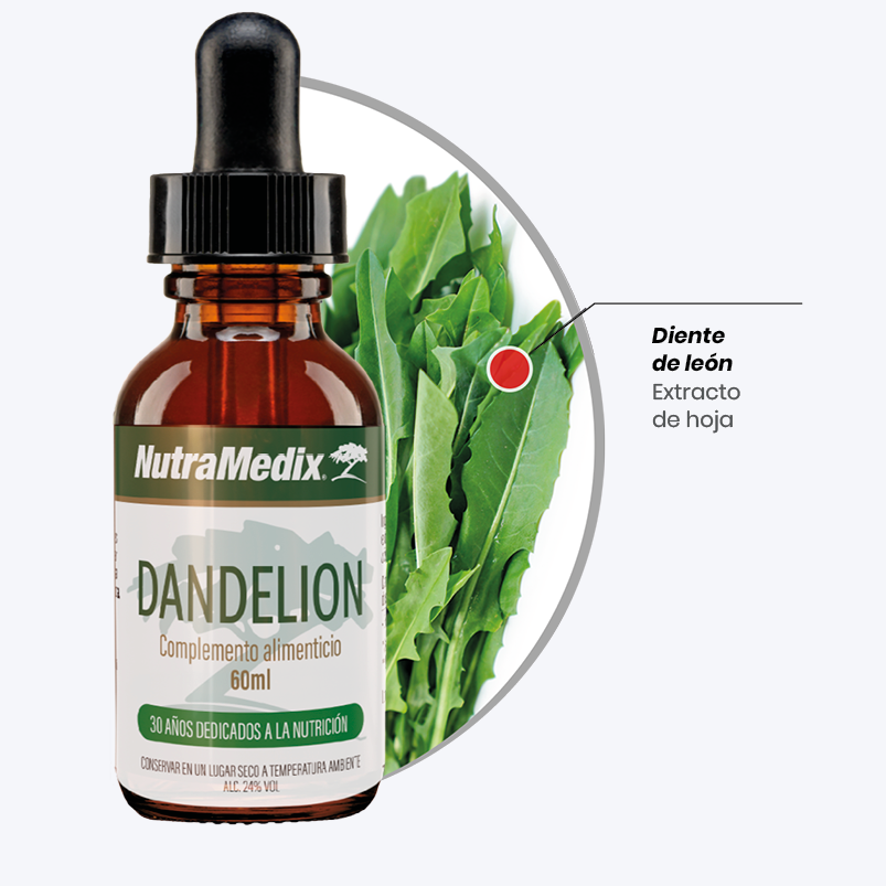 Dandelion_ingredientes.png